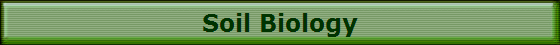 Soil Biology