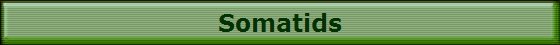 Somatids